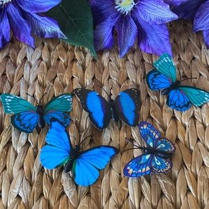 New Colorful Butterfly Festival Clips